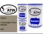 Preview: Nissan, Champagne Pearl Metallic, 656: 500ml Lackdose + 500ml Klarlack + 250ml Härter - Set, von ATW Autoteile West.